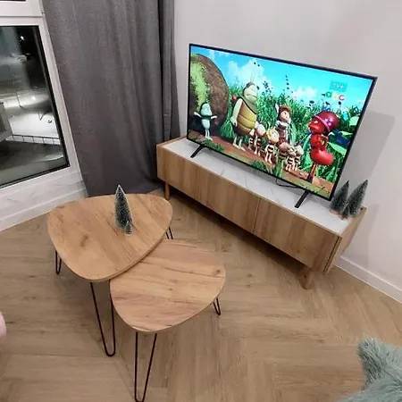 Studio Mint&gold Apartman Rzeszów